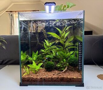 Vybavené akvárium 30l