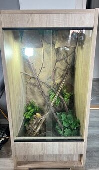 Terárium s chameleonem