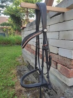 Rosegold uzdečka s lakovaným nánosníkem