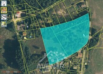 Pronájem pozemku v Liberci poblíž Tajchu - 10 000 m2