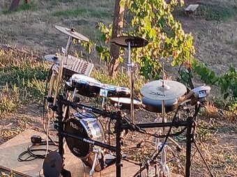 Roland
