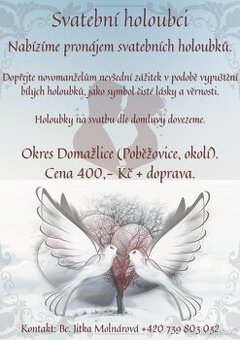 Svatební holoubci, okres Domažlice