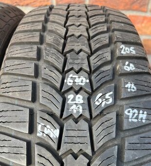 205/60 R16 92H zimní pneumatiky Sava (2819)