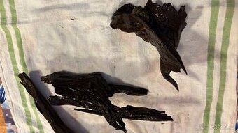 Kořeny do akvária - 1