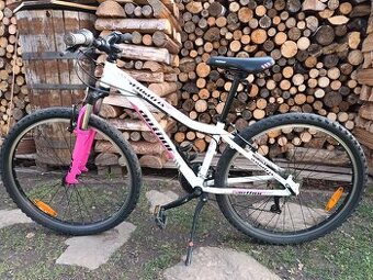 Dívčí kolo Autor - 1