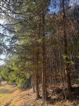 Prodej pozemků k.ú. Huslenky (1)