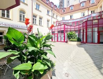 Pronájem obchodního prostoru 424 m² Myslíkova, Praha 1 - Nov