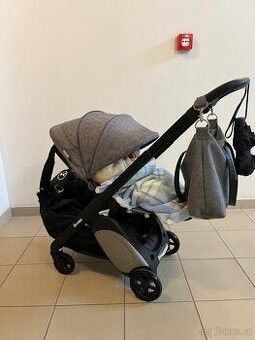 Bugaboo ant