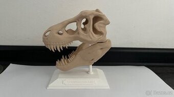 3d tisk hlava t-rexe