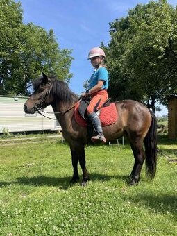 Pony kobylka