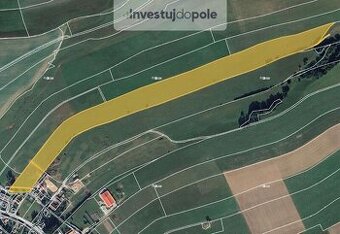 Prodej pole v k.ú. Horní Libchavy