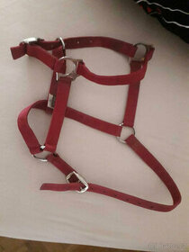 Ohlávka pro hříbata