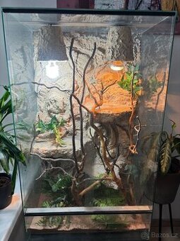 Terárium pro chameleona