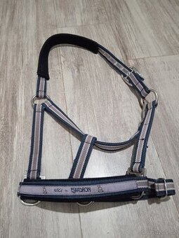 Ohlavka eskadron nici violet