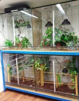 Sestava terárií horní a dolní větrání,posouvaci dvířka.Bez m