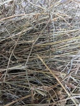 Seno v Big bag vacích