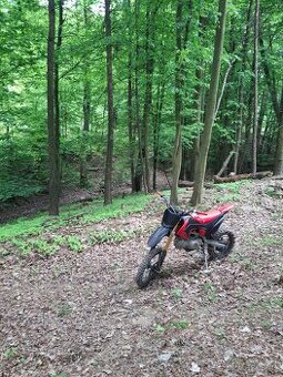 Pitbike wpb 140