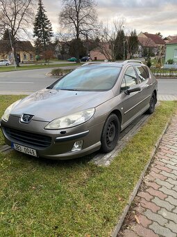 Peugeot 407sw