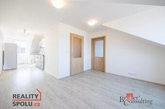 Pronájem, byty/2+kk, 46.12 m2, Papírenská 186/20, Bubeneč, 1