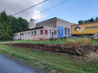 (N389) Pronájem haly - 1