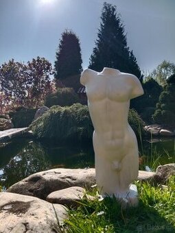 Torzo mužského těla 50 cm