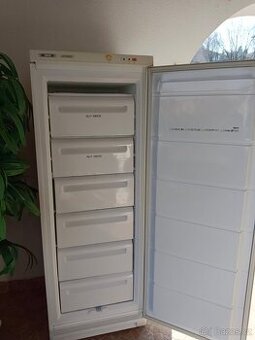 Starší mrazák zanusi