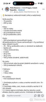 Čechy – společnou prací spisovatelův a umělců českých