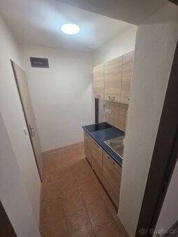 Byt Panenské Břežany