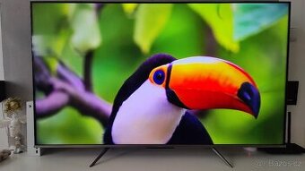 Televize TCL 55 palců