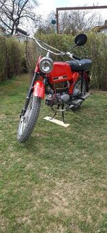Jawa mustang