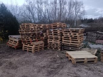 Palety různých rozměrů za 30,- Kč/kus