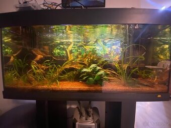 Akvarium juwel 180l