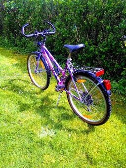 Frera 24"