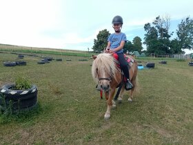 Koňský tábor , tábor s konmi, koně, jezdecký pobyt - 1