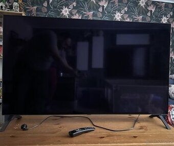 Televize LG OLED55A1 - 1