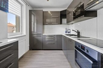 Prodej bytu 2+kk, 74 m2, Plzeň, ul. U Velkého rybníka