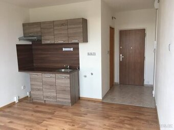 Prodej 1+kk Louny