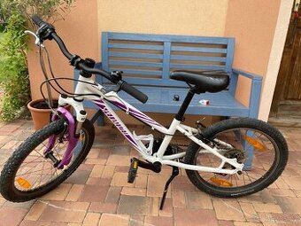 Specialized 20