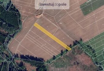 Prodej pole v k.ú. Kamenice nad Lipou