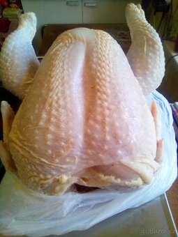 Domácí vykrmená kuřata-výkrm 120 dnů a více, lahodné maso.