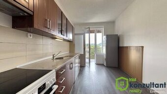 Pronájem bytu 1+1 45 m², Trmice, ev.č. 00960