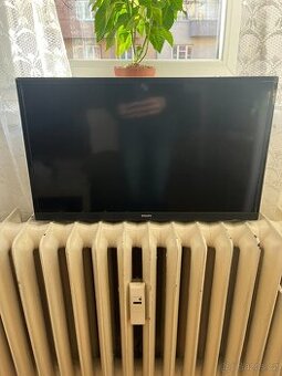 Televize PHILIPS v záruce