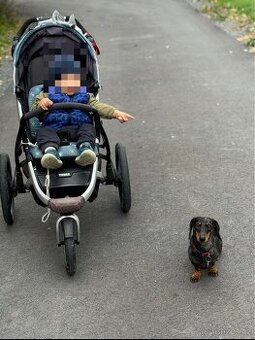 Thule Urban Glide 2 sporťák + korba