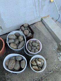 Zahradni kameny