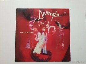 Divinyls - What a Life