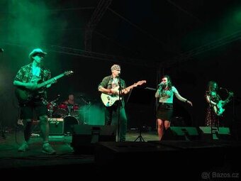 HOX hledá baskytaristu(ku) za odcházející