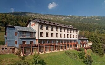 Servírka/číšník