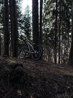 Dirt jumper