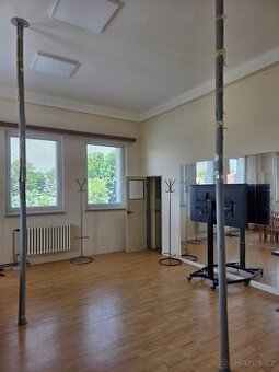 2x profi pole dance tyč, nerez, 370cm, průměr 1x45mm, 1x50mm