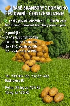 Rane Brambory Radňovice - 1